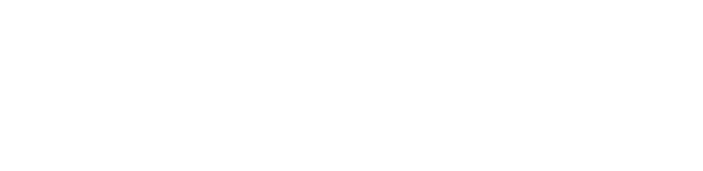 Revoo